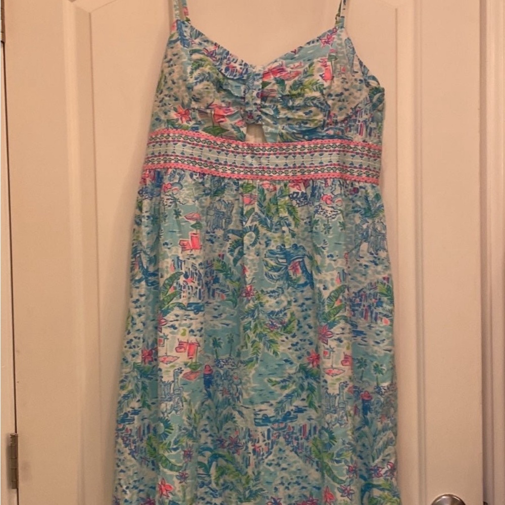 Lilly Pulitzer Katlynn Dress What A Lovely Place